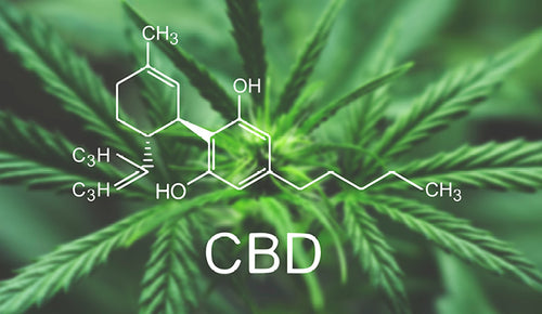 CBD Isolate: How is it different from other types of CBD?