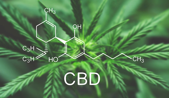 CBD Isolate: How is it different from other types of CBD?