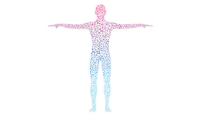 The Endocannabinoid system – everything you need to know