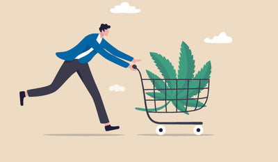 What should you look for when buying a CBD product